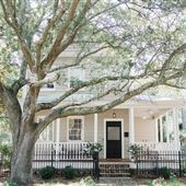Savannah Nest