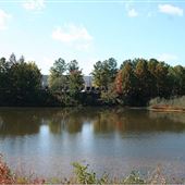 Pinckneyville Park