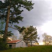 Atchley Acres at West Banks Mill - EXT Only