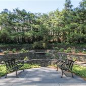 Vines Park
