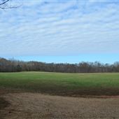 The Law Farm