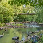 Waymanville Mill ruins
