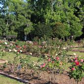 Thomasville Rose Garden and Gazebo