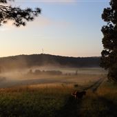 Nunnally Farm - 450 Acre Family Farm
