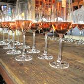 Vino Venue