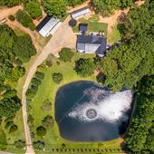 Peace on the Pond