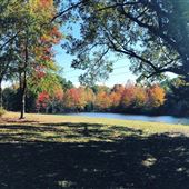 Pecan Grove and Pond