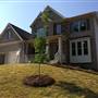 Patel Residence