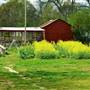 Metro Atlanta Urban Farm