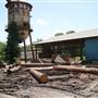 Champion's Lumber Mill