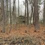 FLOWERY BRANCH, HALL COUNTY GA