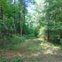 Wright Property