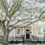 Savannah Nest