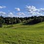 Friendship Pastures