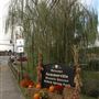 Willow Springs Park