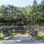 Vines Park