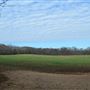 The Law Farm