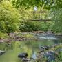 Waymanville Mill ruins