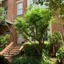 Glenwood Park Brownstone