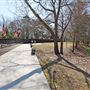 The Wall that Heals - Veteran's Memorial Walk
