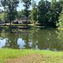 Willow Tree Pond - 2 Homes on 8 Acres