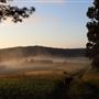 Nunnally Farm - 450 Acre Family Farm