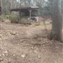 Monroe GA Property with 3 Homes