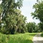 Champney Island / Altamaha Wildlife Management Area