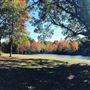 Pecan Grove and Pond