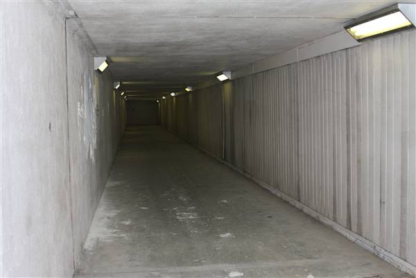 Tunnels at Emory University