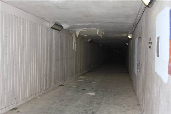 Tunnels at Emory University