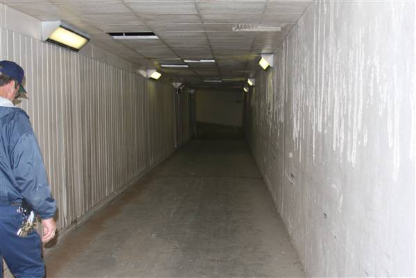Tunnels at Emory University