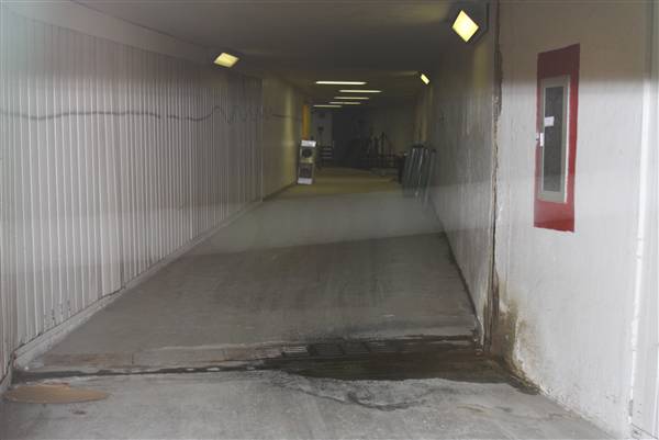 Tunnels at Emory University