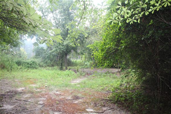 10 Acres Wooded in Stockbridge (Rockdale County side)