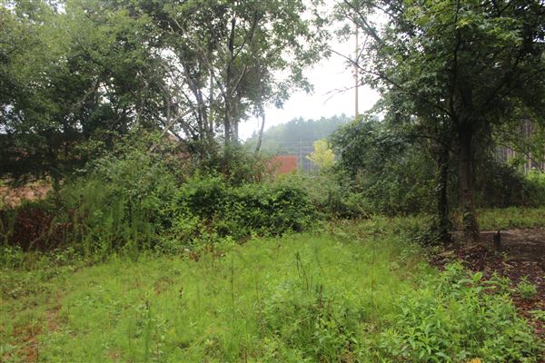 10 Acres Wooded in Stockbridge (Rockdale County side)