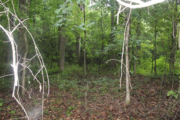 10 Acres Wooded in Stockbridge (Rockdale County side)
