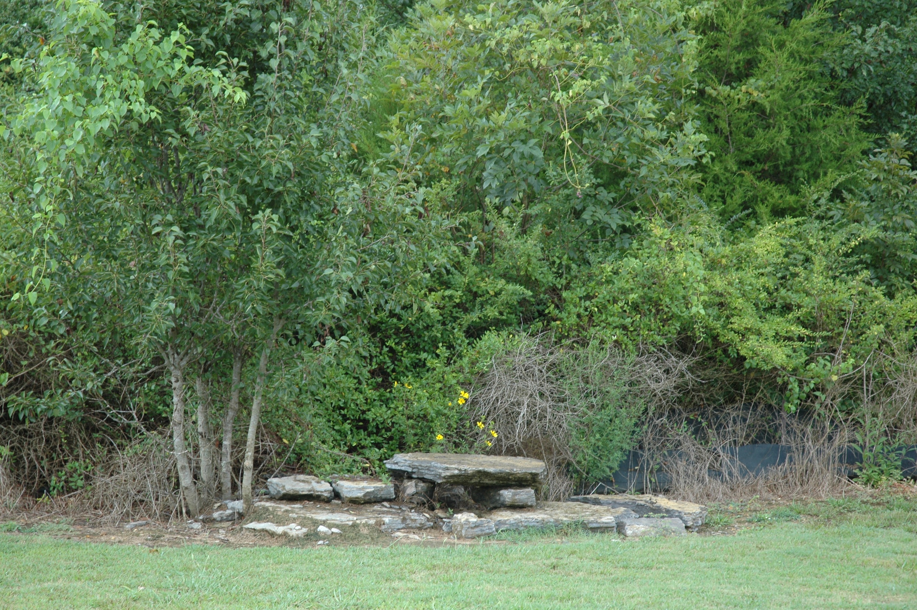 locations-hub-cloud-springs-canoe-launch