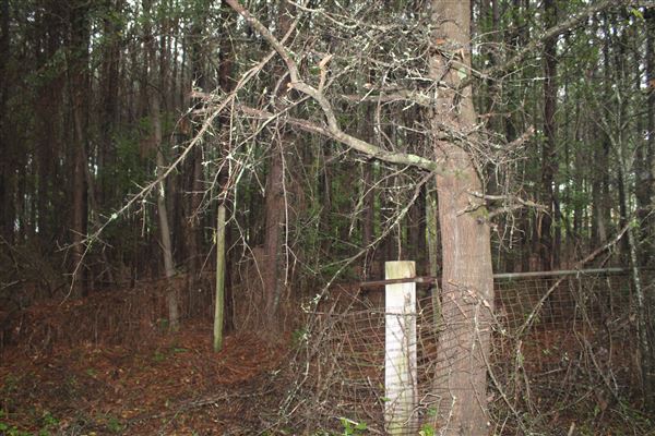 10 Acres Wooded in Stockbridge (Rockdale County side)