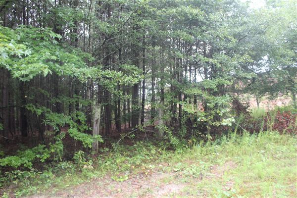 10 Acres Wooded in Stockbridge (Rockdale County side)