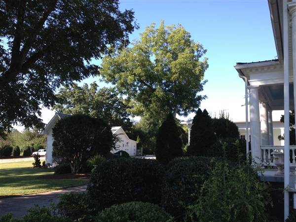 Braselton Stover House