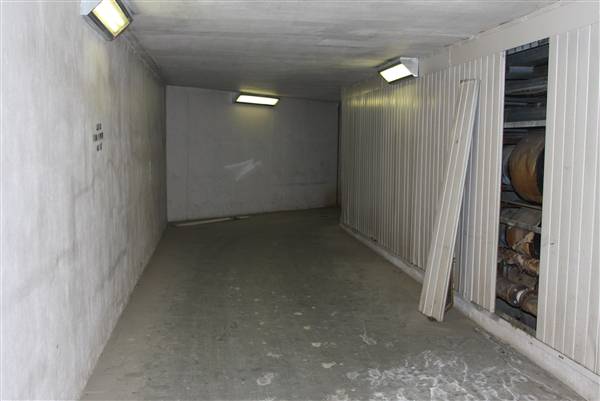 Tunnels at Emory University