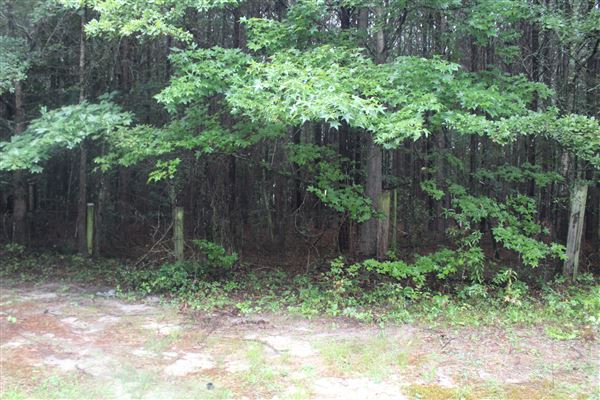 10 Acres Wooded in Stockbridge (Rockdale County side)