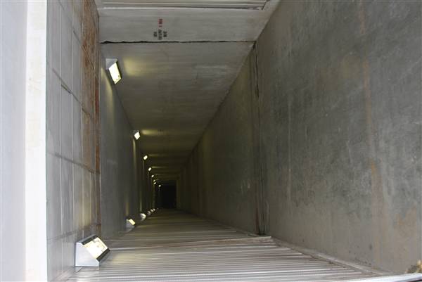 Tunnels at Emory University