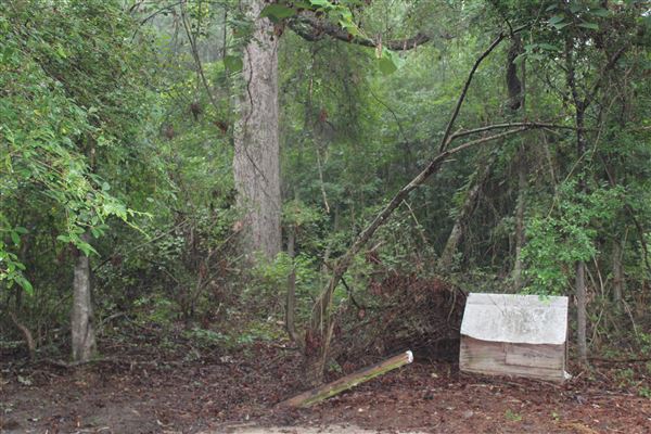 10 Acres Wooded in Stockbridge (Rockdale County side)