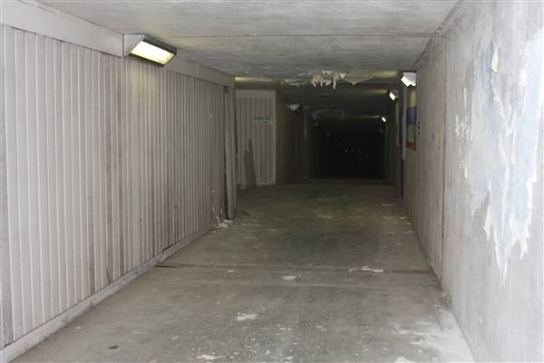 Tunnels at Emory University
