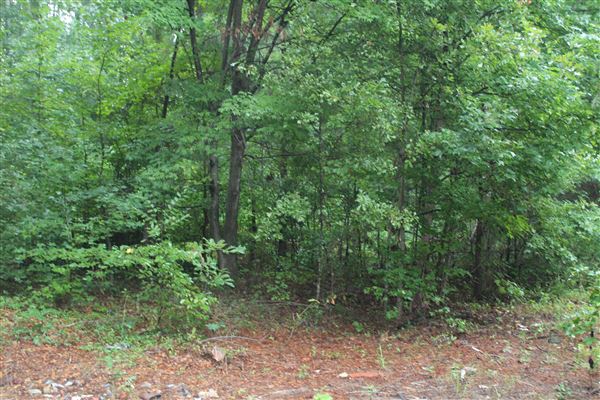 10 Acres Wooded in Stockbridge (Rockdale County side)
