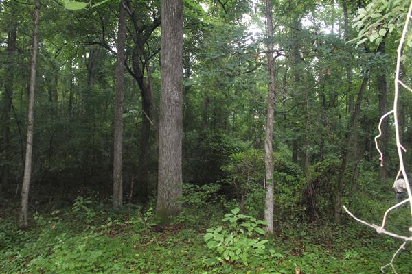 10 Acres Wooded in Stockbridge (Rockdale County side)
